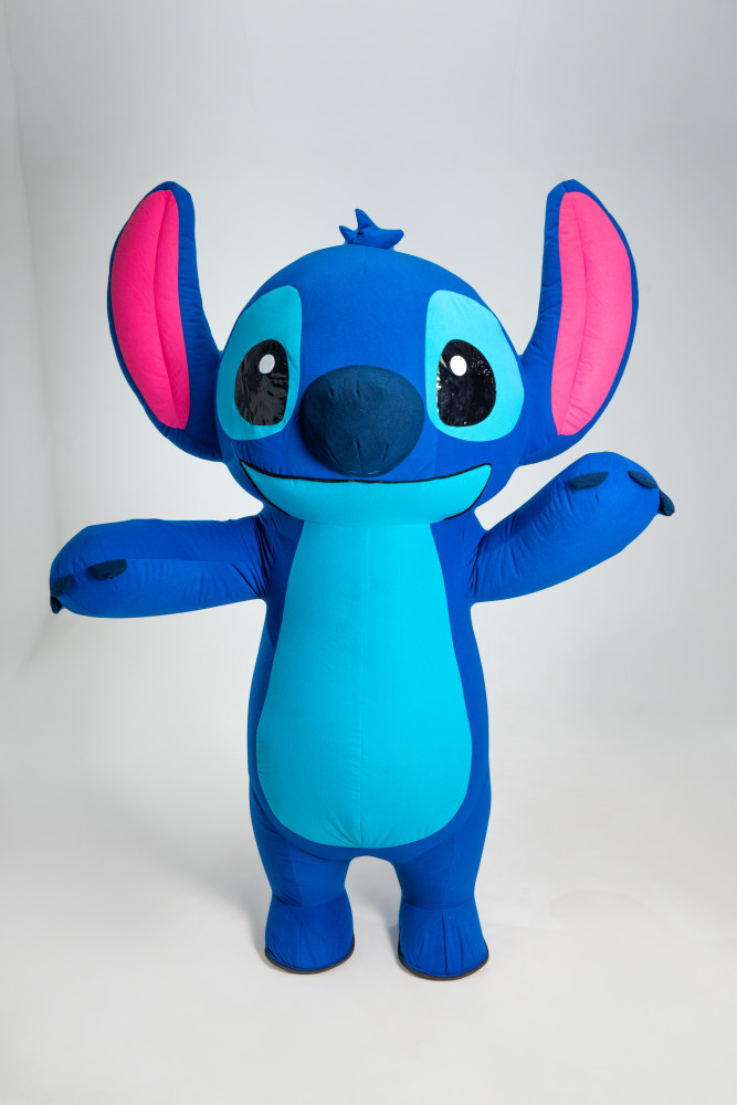 Ростовий Стіч 